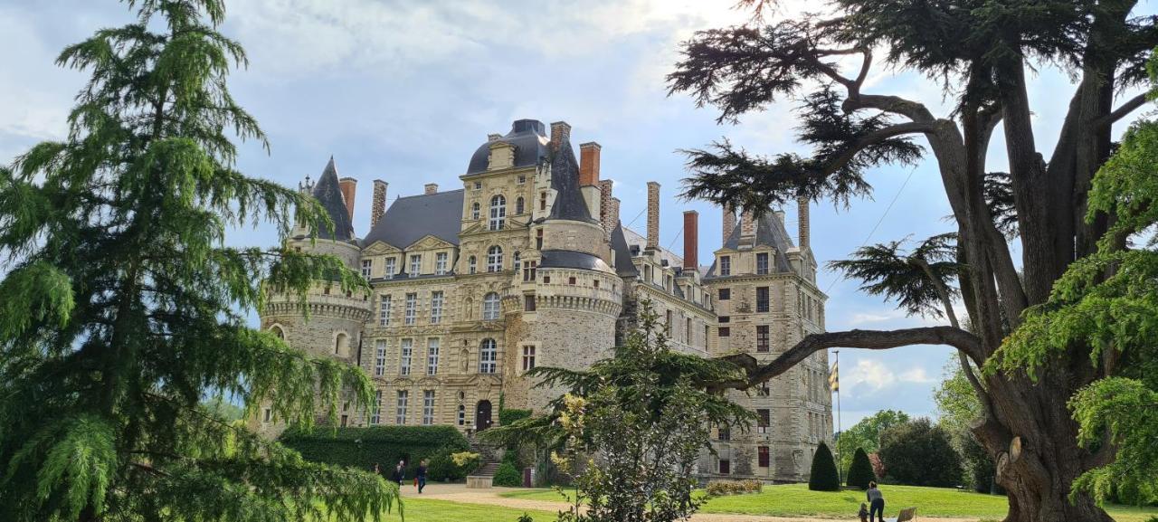 Bed and Breakfast Confidences Escale A Brissac Exterior foto